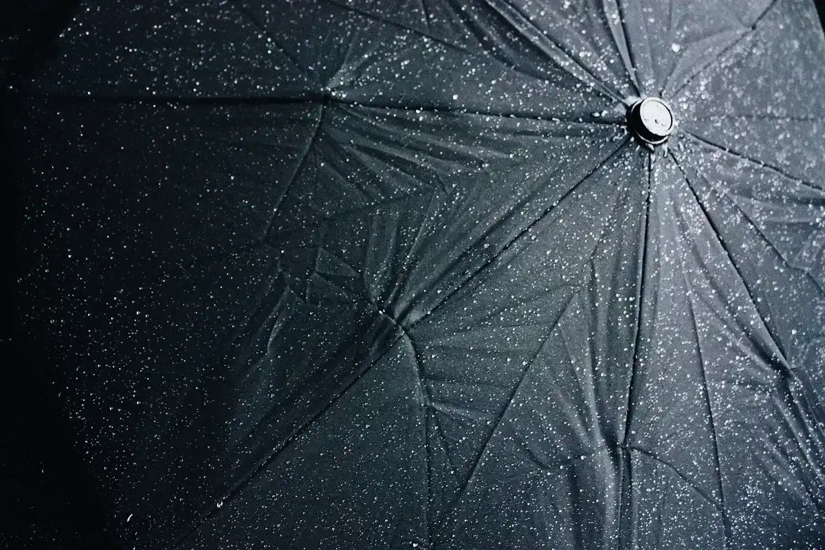 black umbrella