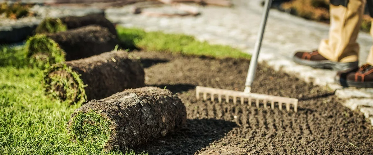 Contractor plowed some land for landscaping