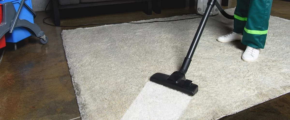 Contractor cleaning the carpets